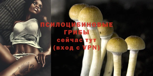 скорость Гусь-Хрустальный