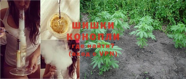 PSILOCYBIN Горнозаводск