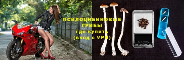 PSILOCYBIN Горнозаводск