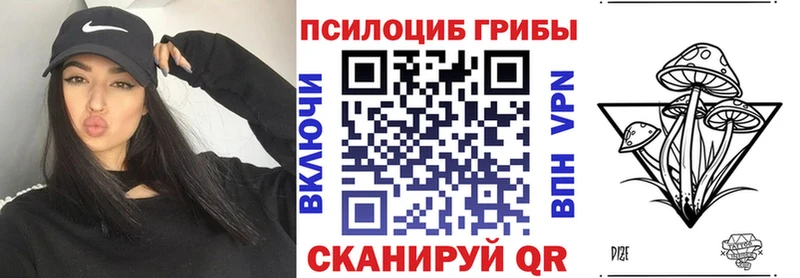 Псилоцибиновые грибы мицелий  Купить  Валдай 